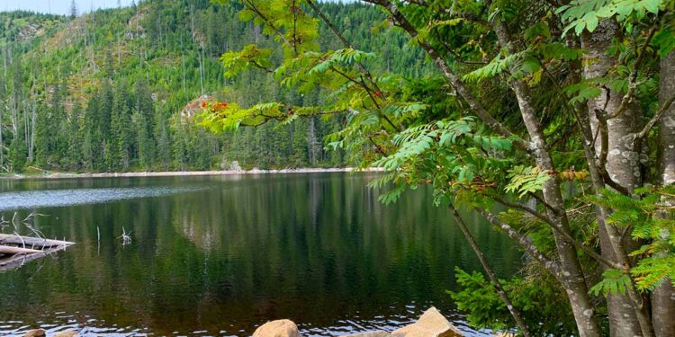 Prášilské jezero v Šumavě – pohled na hladinu obklopenou lesy a horami