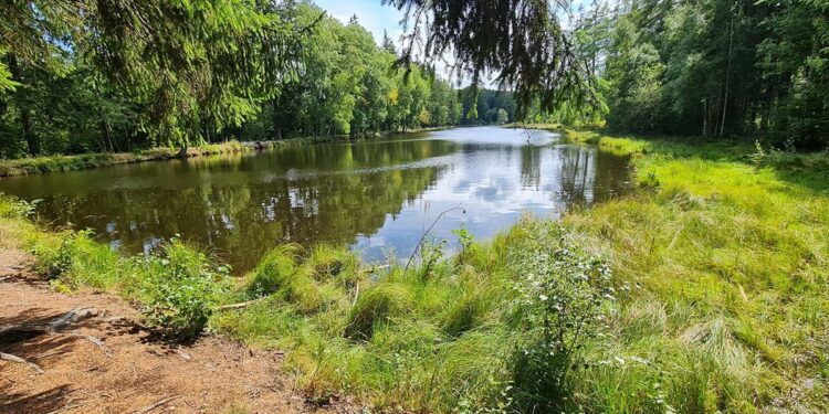 Lesní rybník Kramata