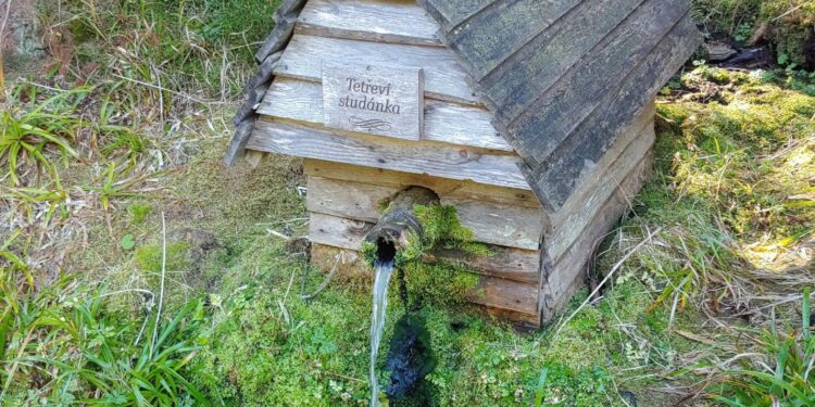 Tetřeví studánka