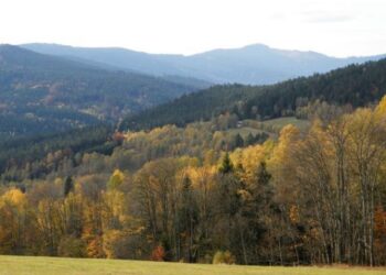 Brčálnické údolí