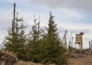 Informační středisko Poledník