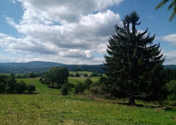 Želnavská naučná stezka