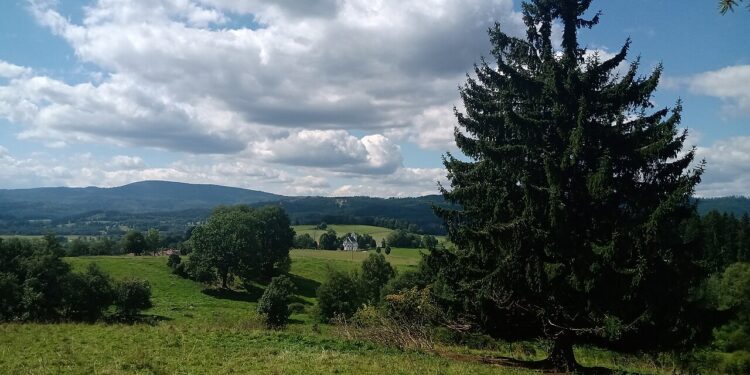 Želnavská naučná stezka