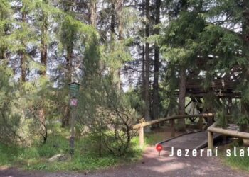 První dojmy a tipy z Šumavy