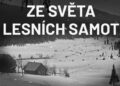 Ze světa lesních samot