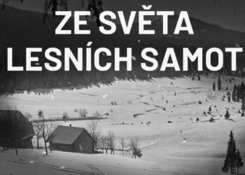 Ze světa lesních samot