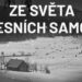 Ze světa lesních samot
