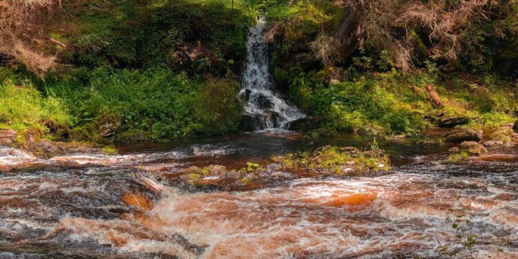 Vodopády na Paštěckém potoce